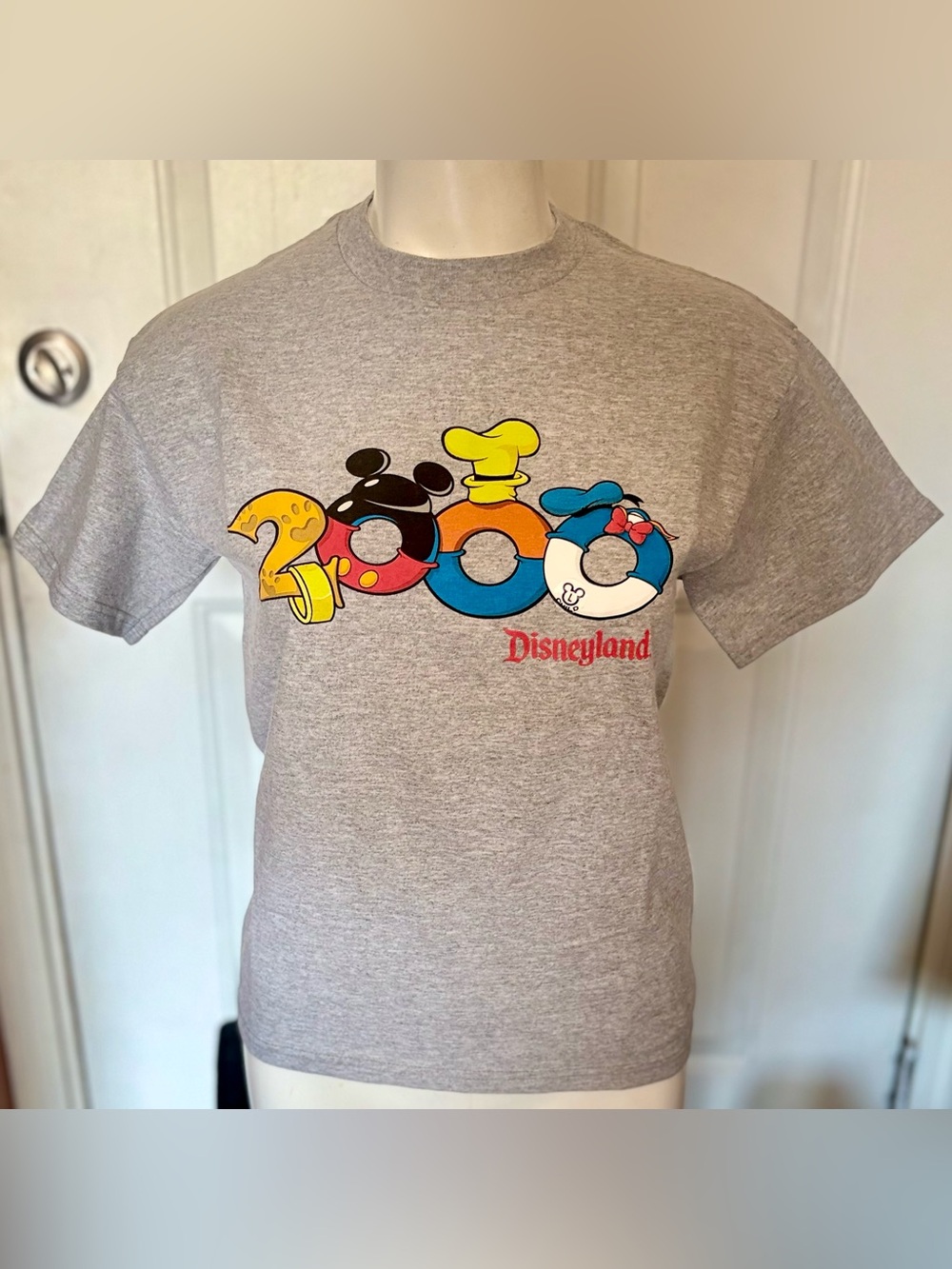 NWOT Vintage Disneyland 2000 Short Sleeve T-Shirt Unisex Size Large